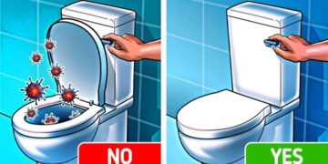 3 lý do bạn nên đậy nắp bồn cầu trước khi xả nước
