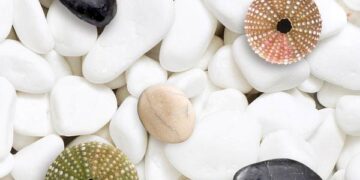 Top 5 mẫu gạch lát nền Viglacera 3D ưa chuộng nhất hiện nay